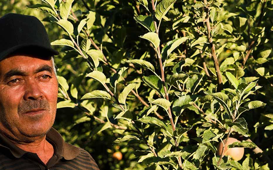 Nizоm, a driver, in his garden. Nizоm, a driver, in his garden.
