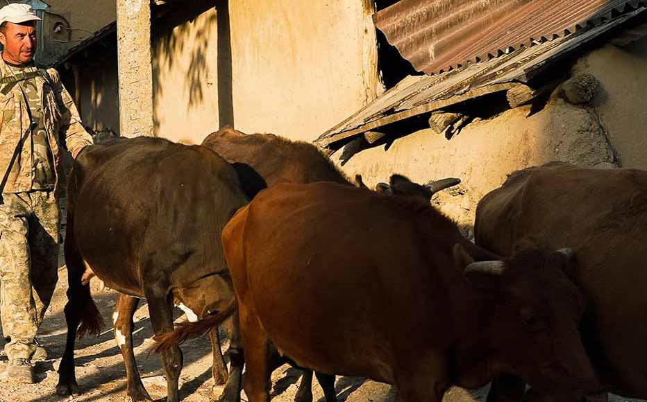 Animal husbandry is central to village life: cattle and flocks are kept on the ground floor of each house and villagers graze them in turns. Carpentry, blacksmithing, pottery and other crafts also support the local economy.