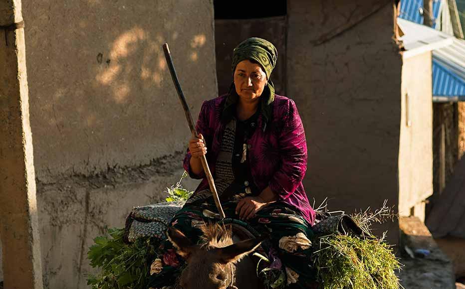 A woman carries grass on a donkey through the village. Donkeys and horses are key to the village as narrow streets and rough terrain make it difficult to use cars and other vehicles. Tractors also struggle with the uneven terrain; villagers largely plant their crops by hand and use donkeys and cows for ploughing.