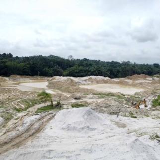 In recent months, vast swathes of farmland have been seized for gold mining, often without compensation for local farmers.