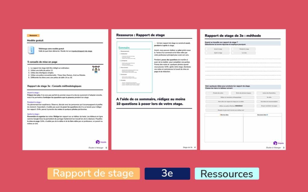 Page De Garde D'un Rapport De Stage 3eme En Fauconnerie Comment faire un rapport de stage de 3ème ? (Guide)
