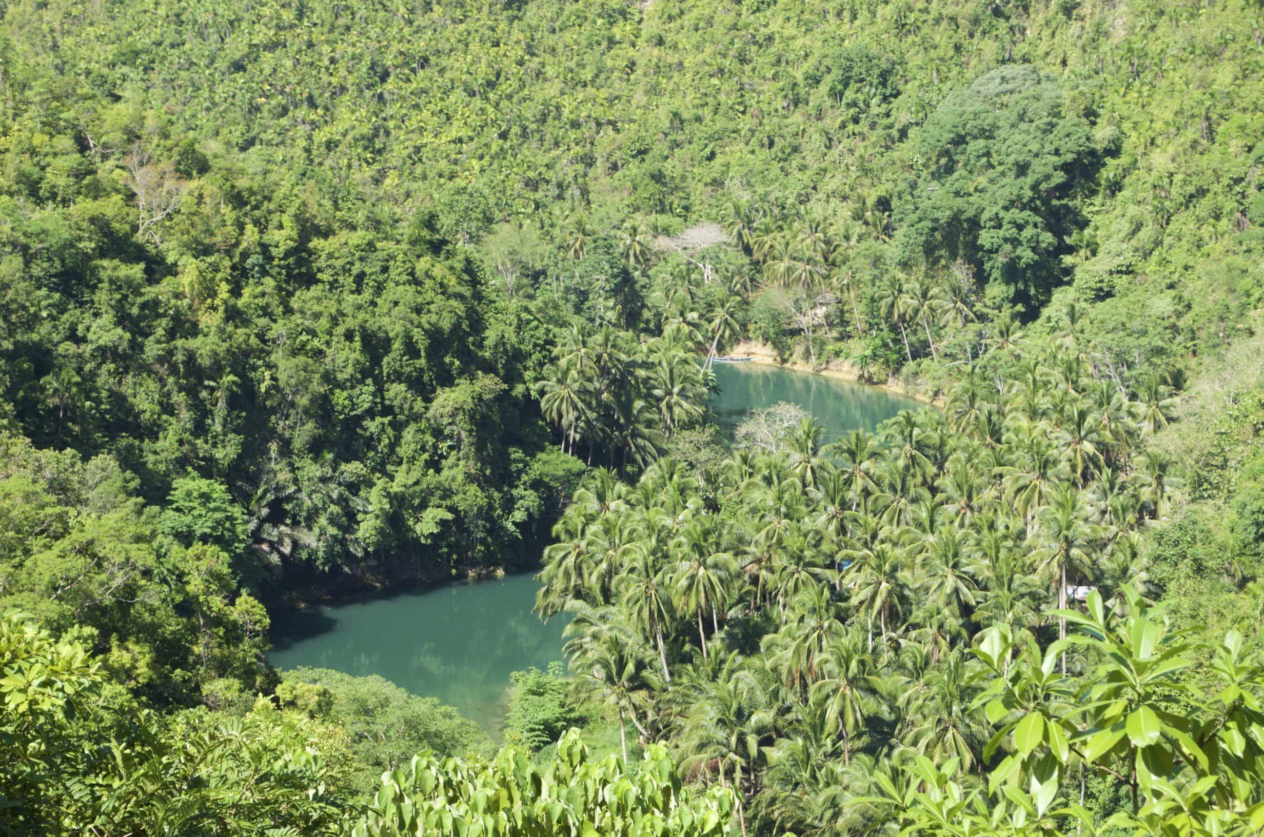 Aussichtspunkt hoch über dem Loboc River
