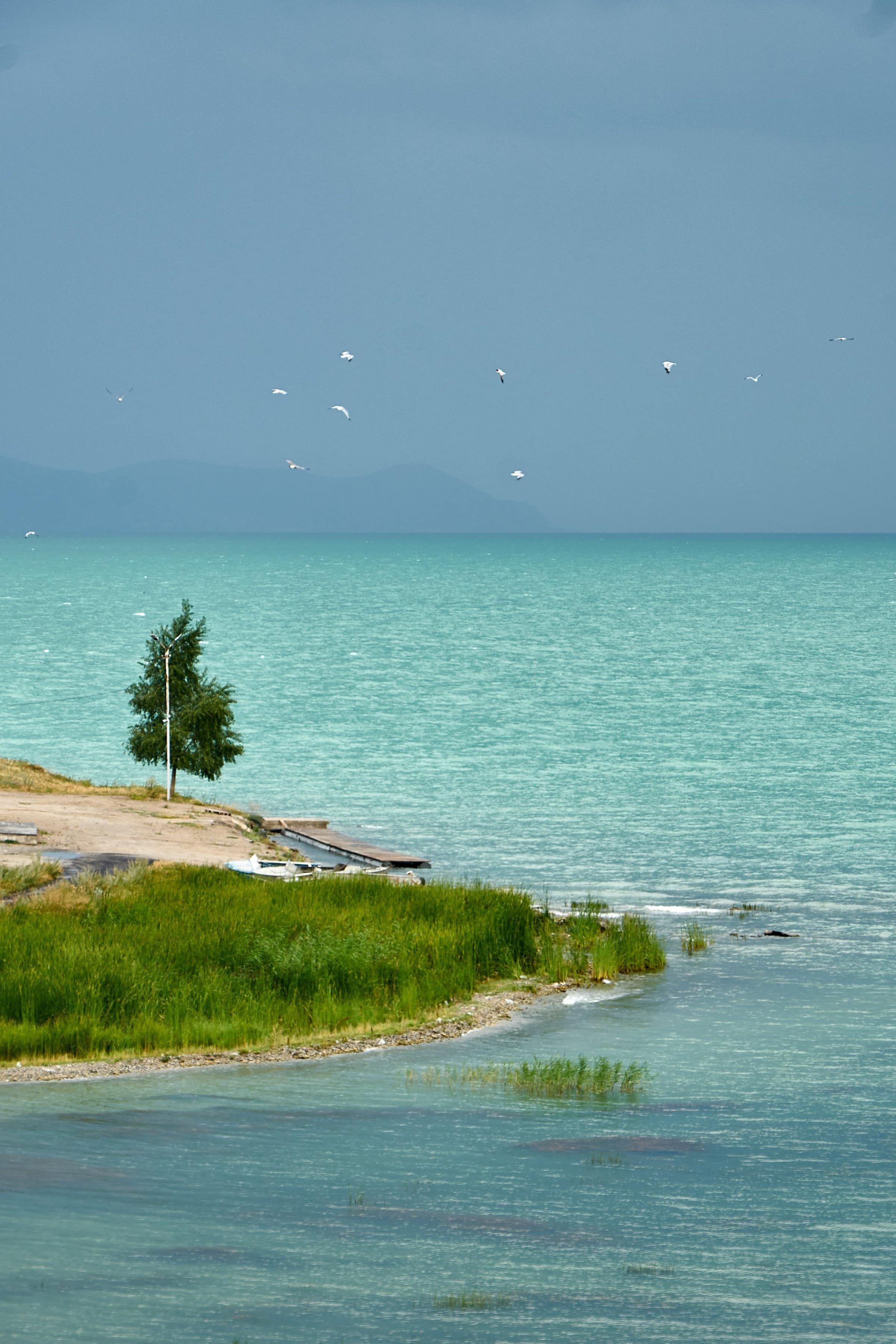 dunkle Wolken über dem grünen Sewansee