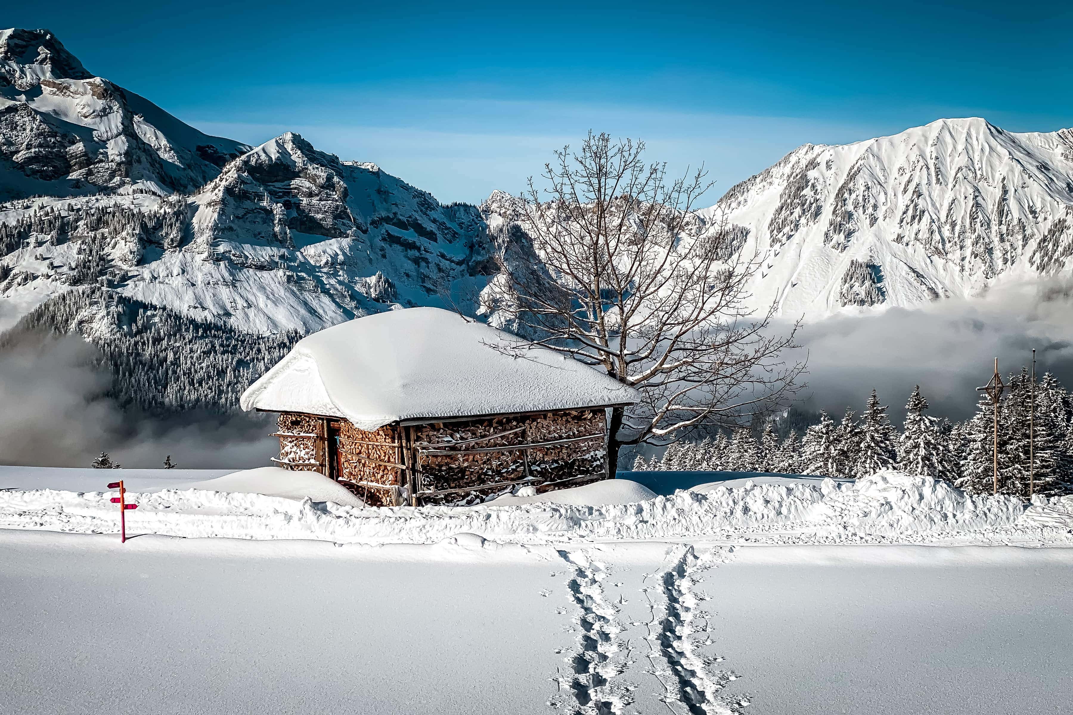 zwei Spuren im Schnee und ein Holzstoß