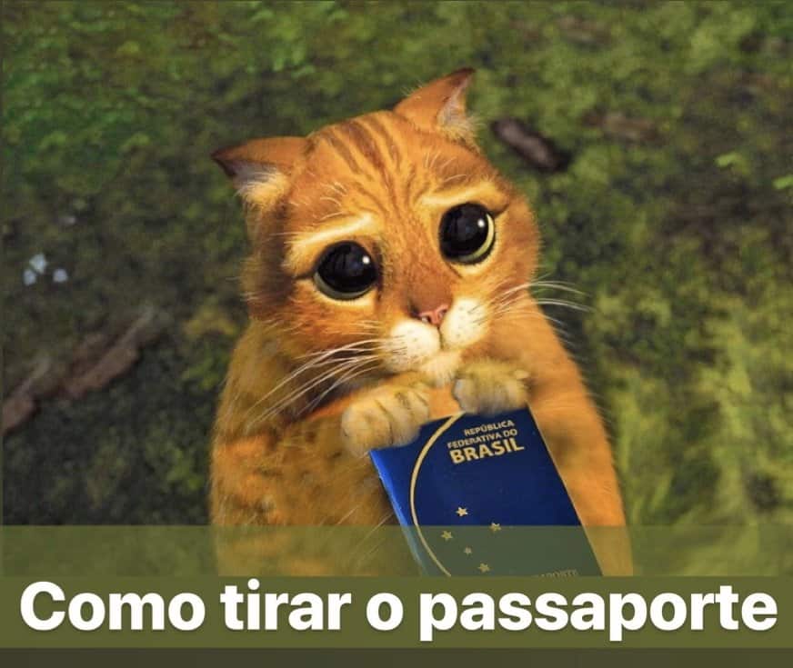 como tirar o passaporte, passo a passo