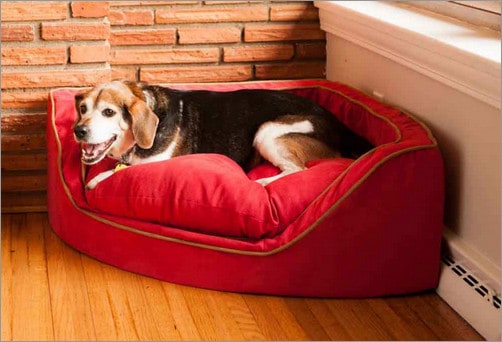 Snoozer Luxury Best Dog Bed