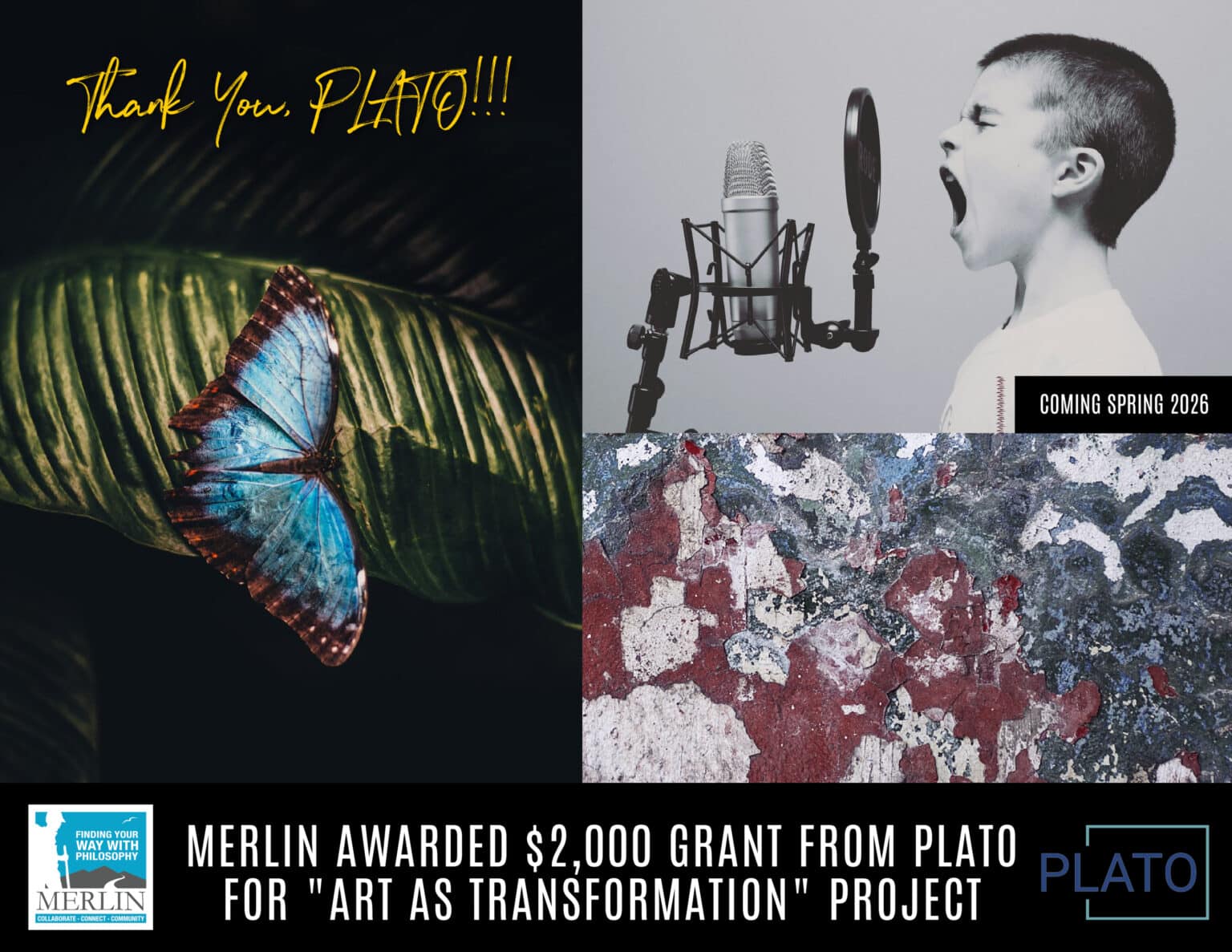 Merlin Awarded $2,000 Grant Award from PLATO for 