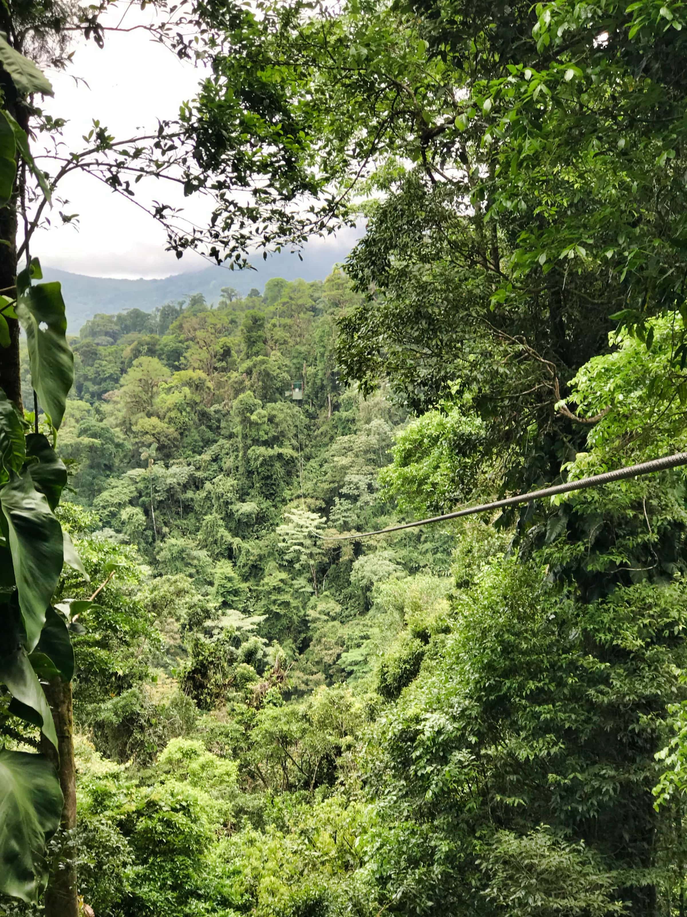 Seilrutsche oder Zipline