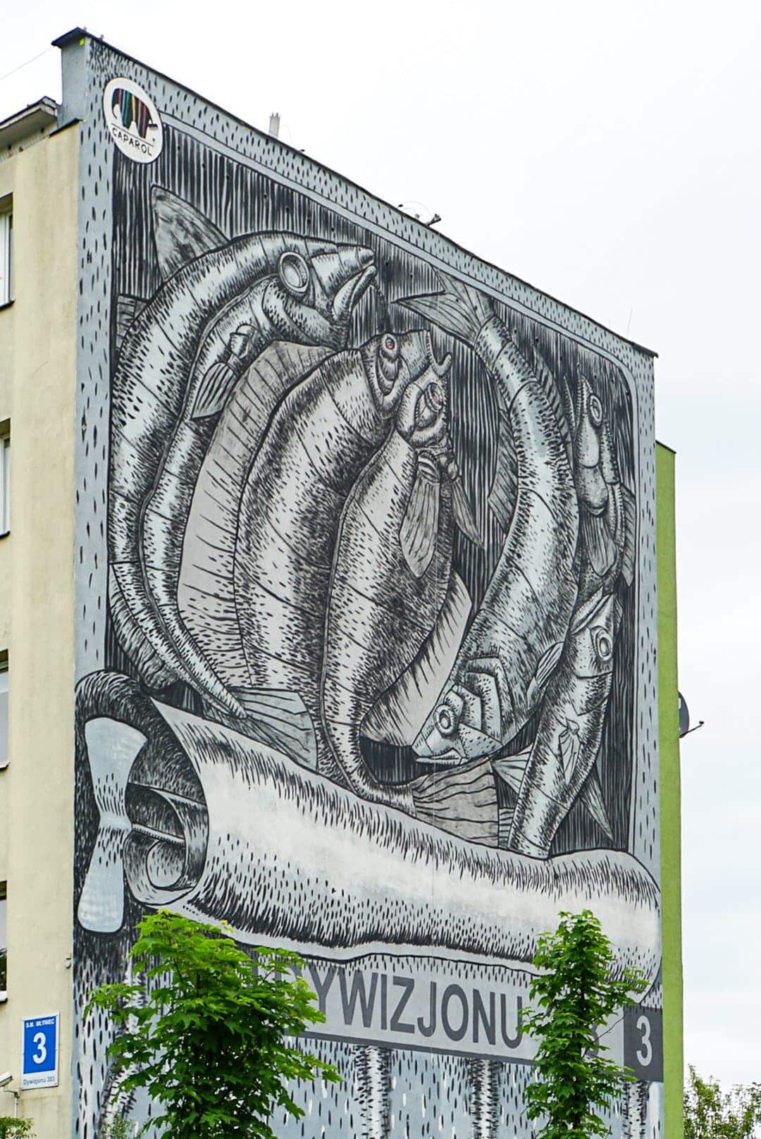 Murals (Graffitis)