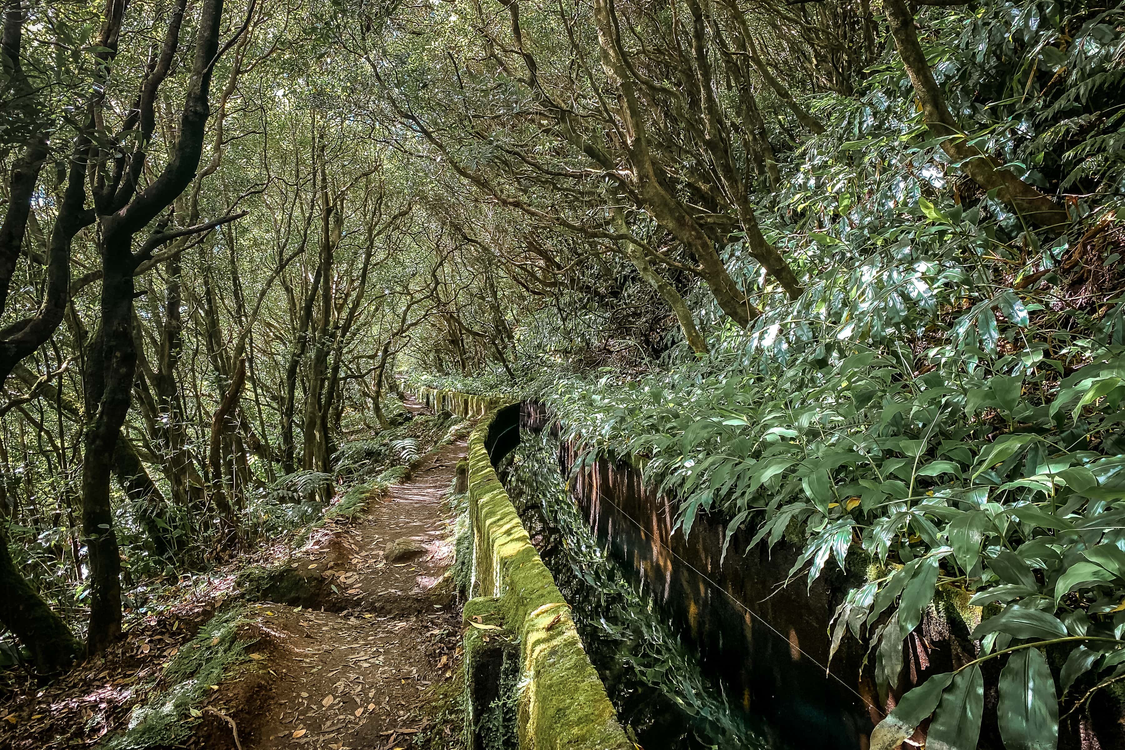 Wanderung entlang der Levada