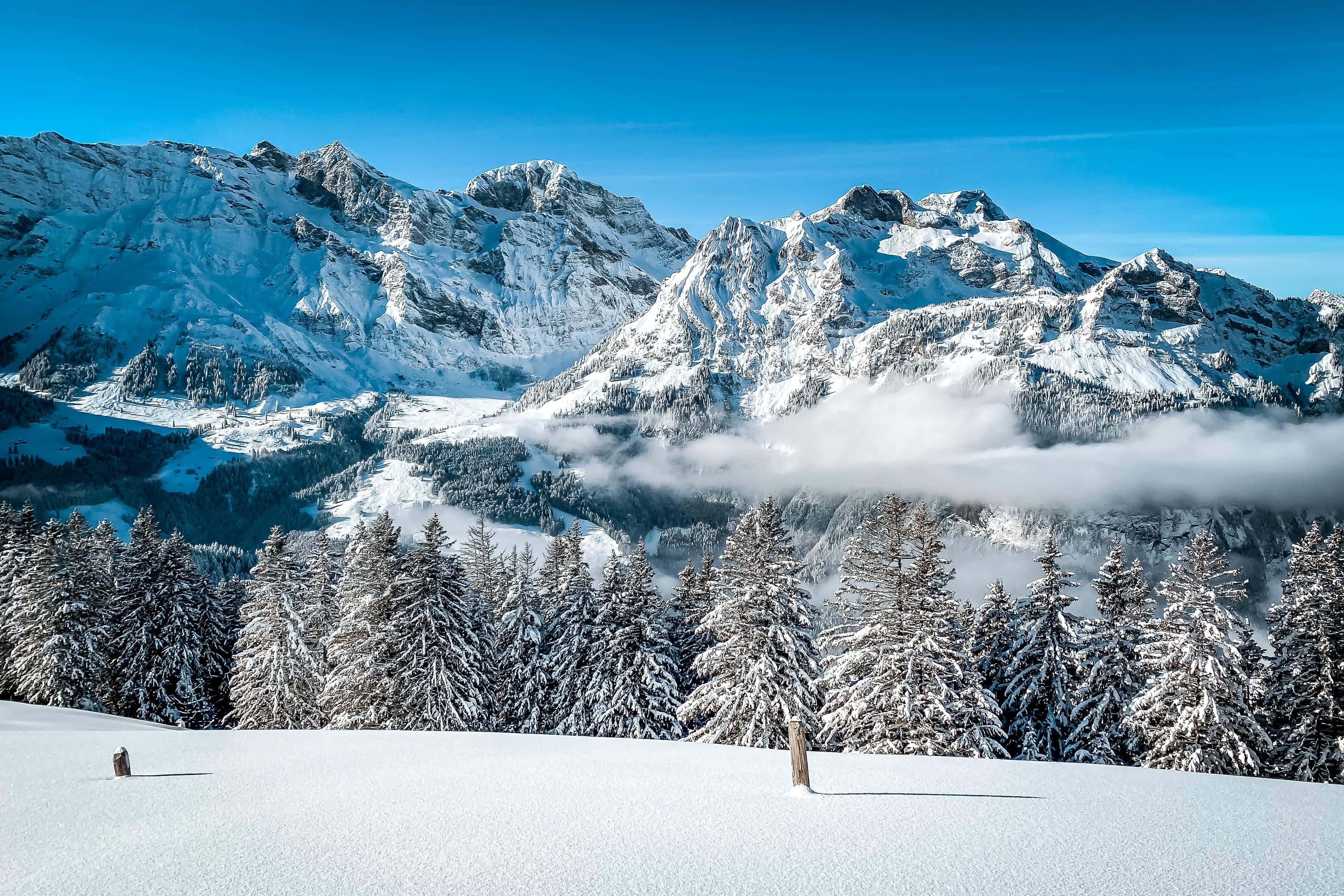 Aussicht auf die Gerschnialp