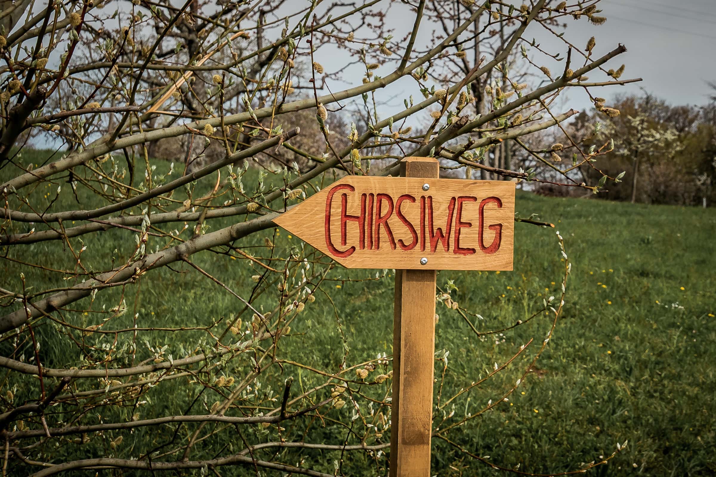 Wegweiser Chrisiweg