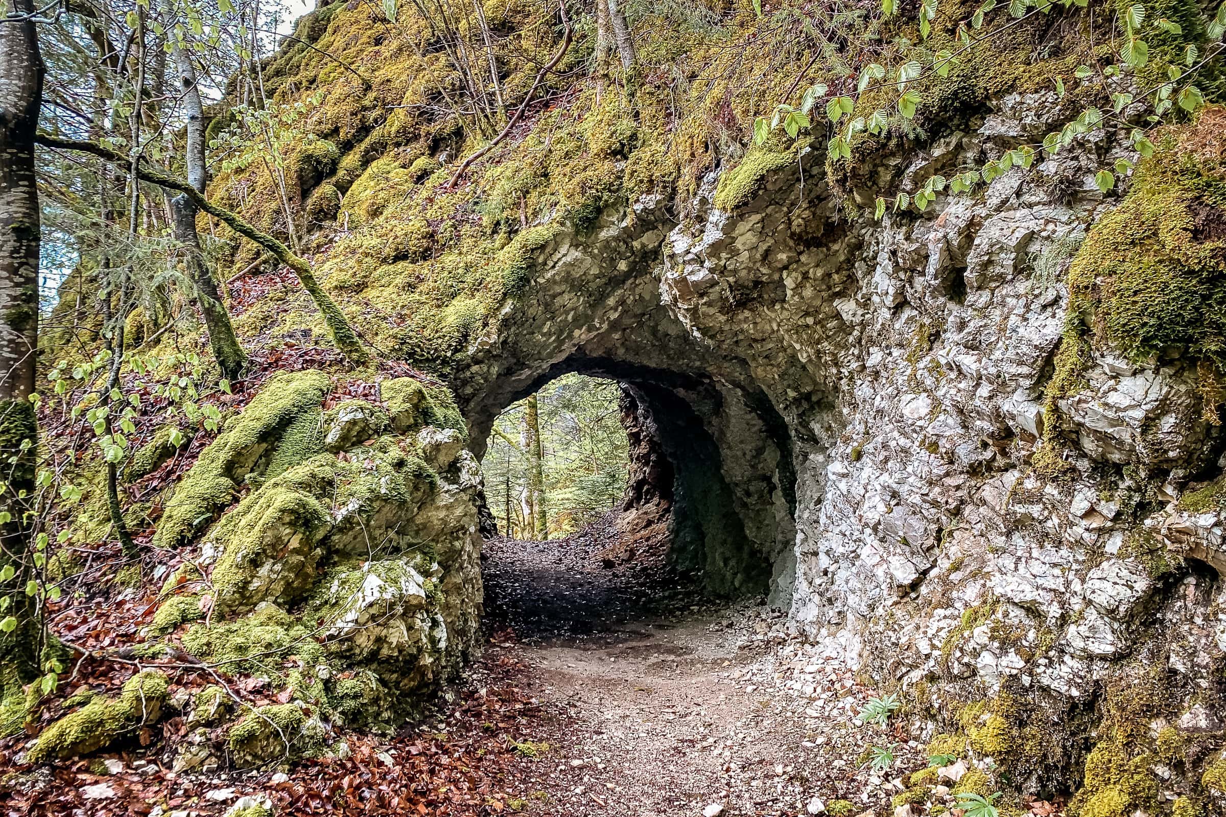 Tunnel