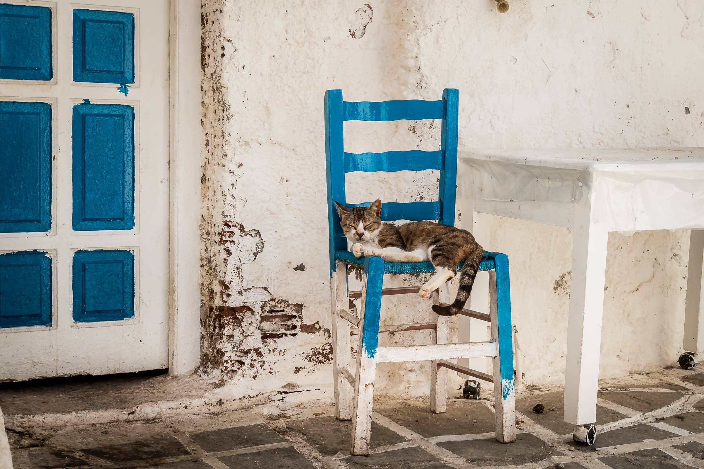 schlafende Katze in den Gassen der Chora