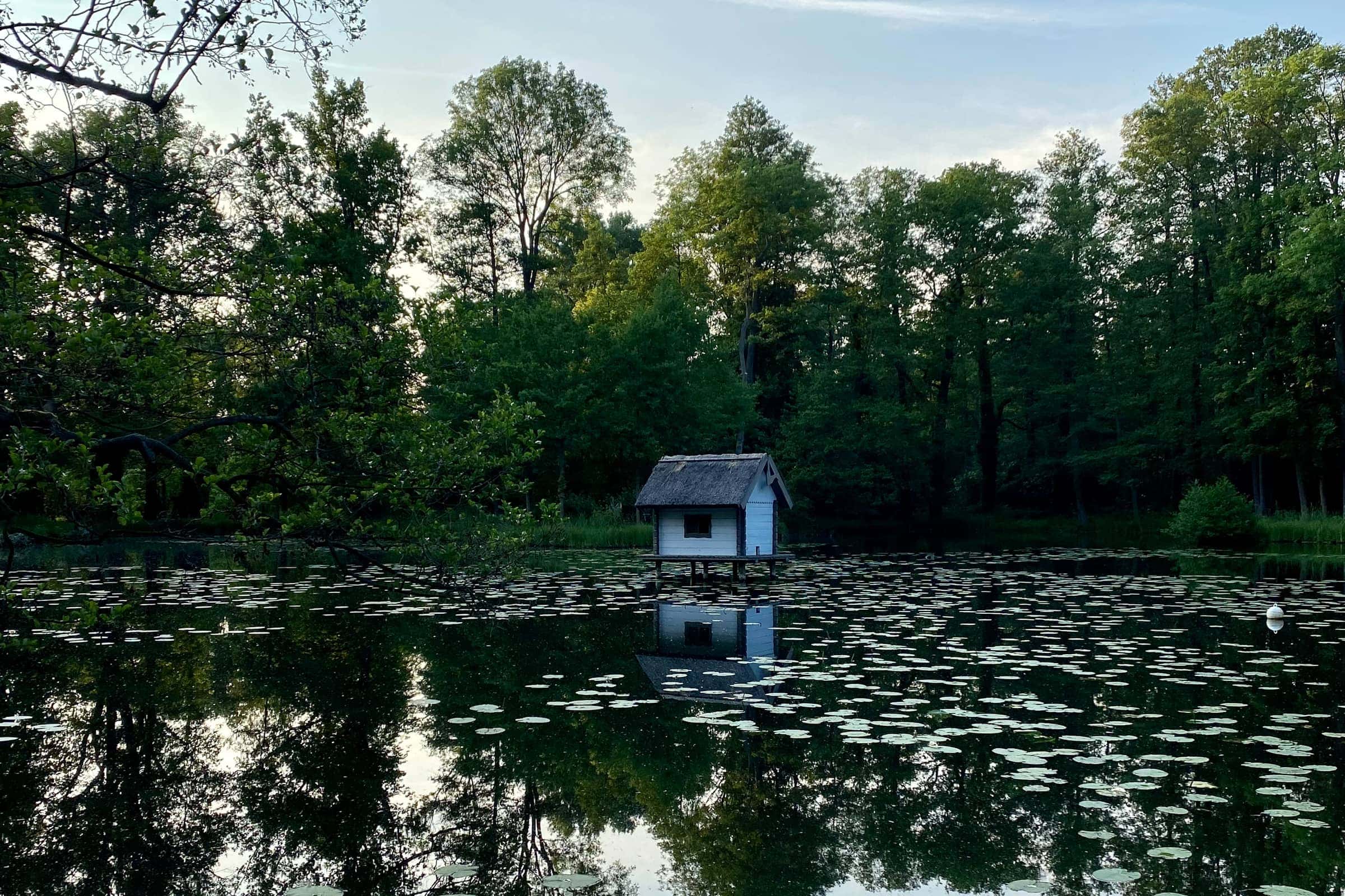 Schlossweiher im Abendlicht