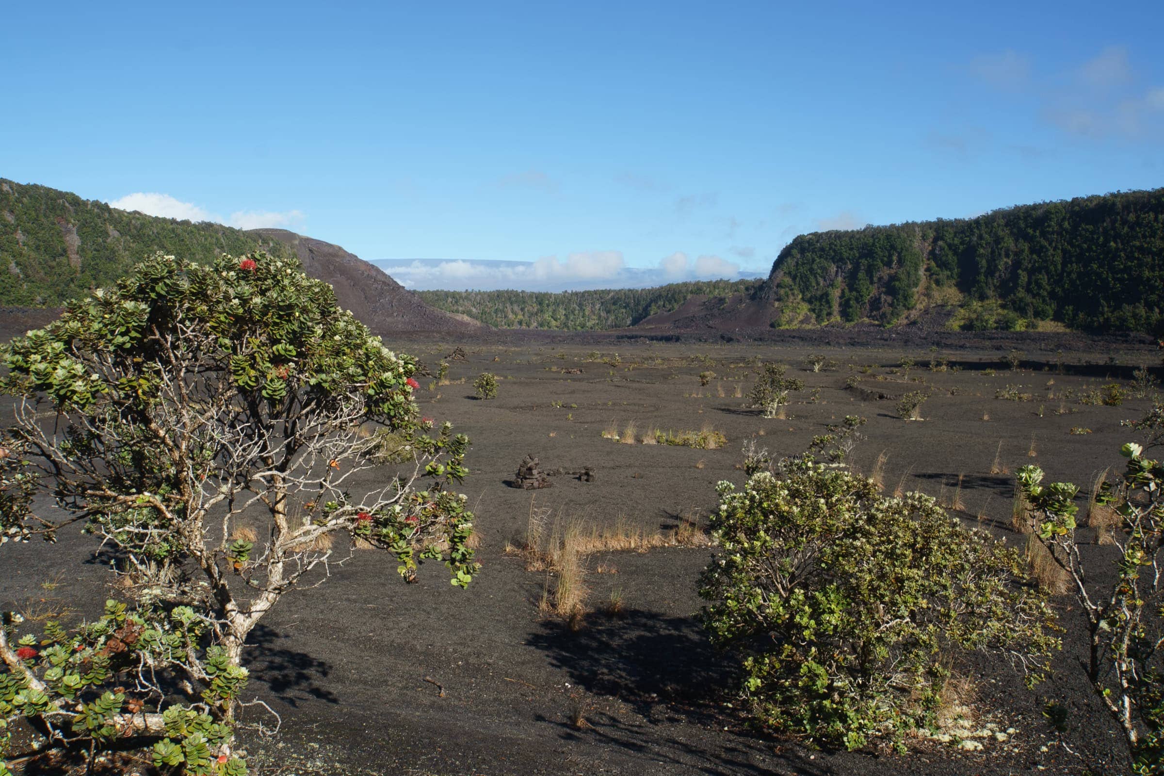 Kilauea Iki Trail