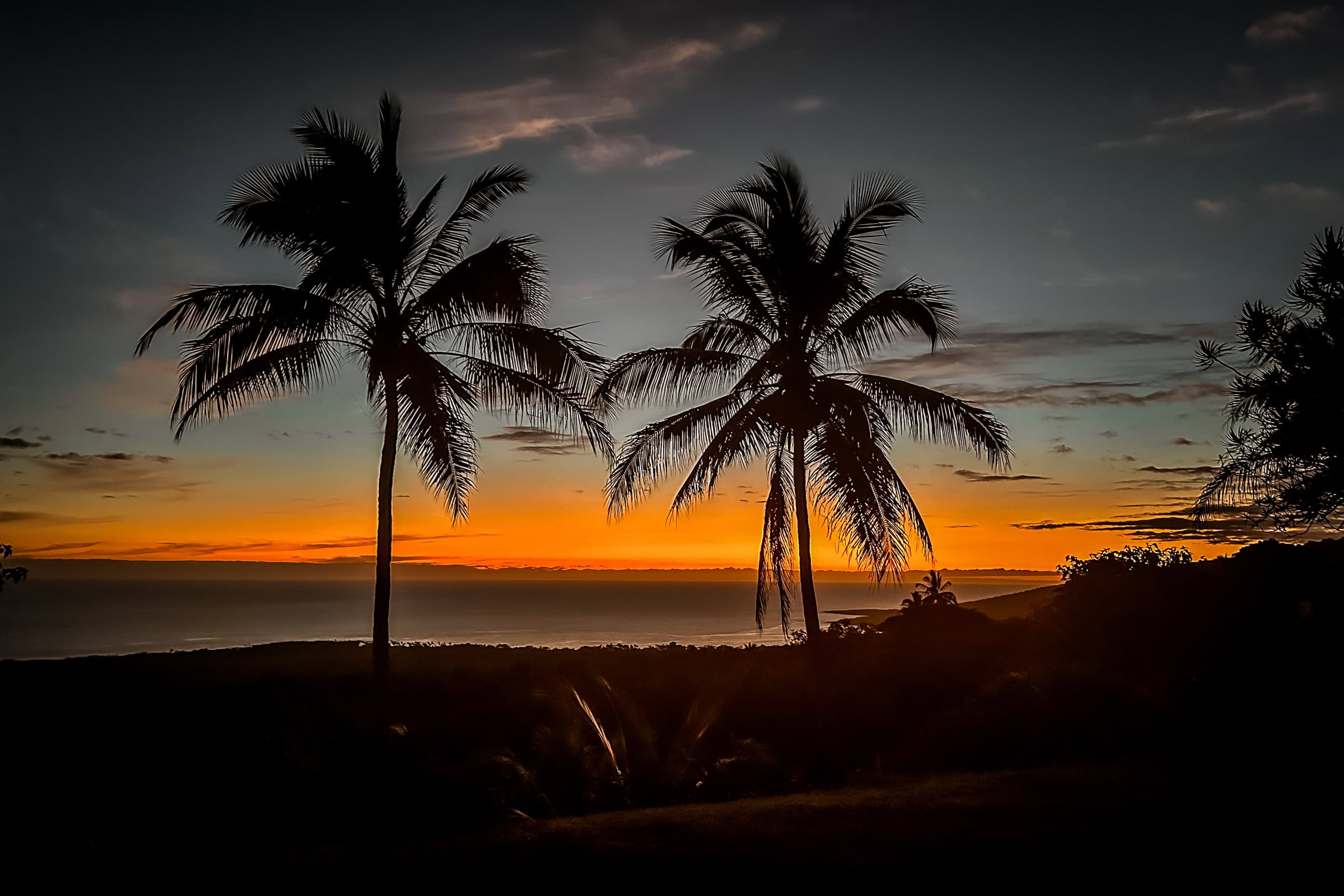 Sonnenuntergang mit Palmen