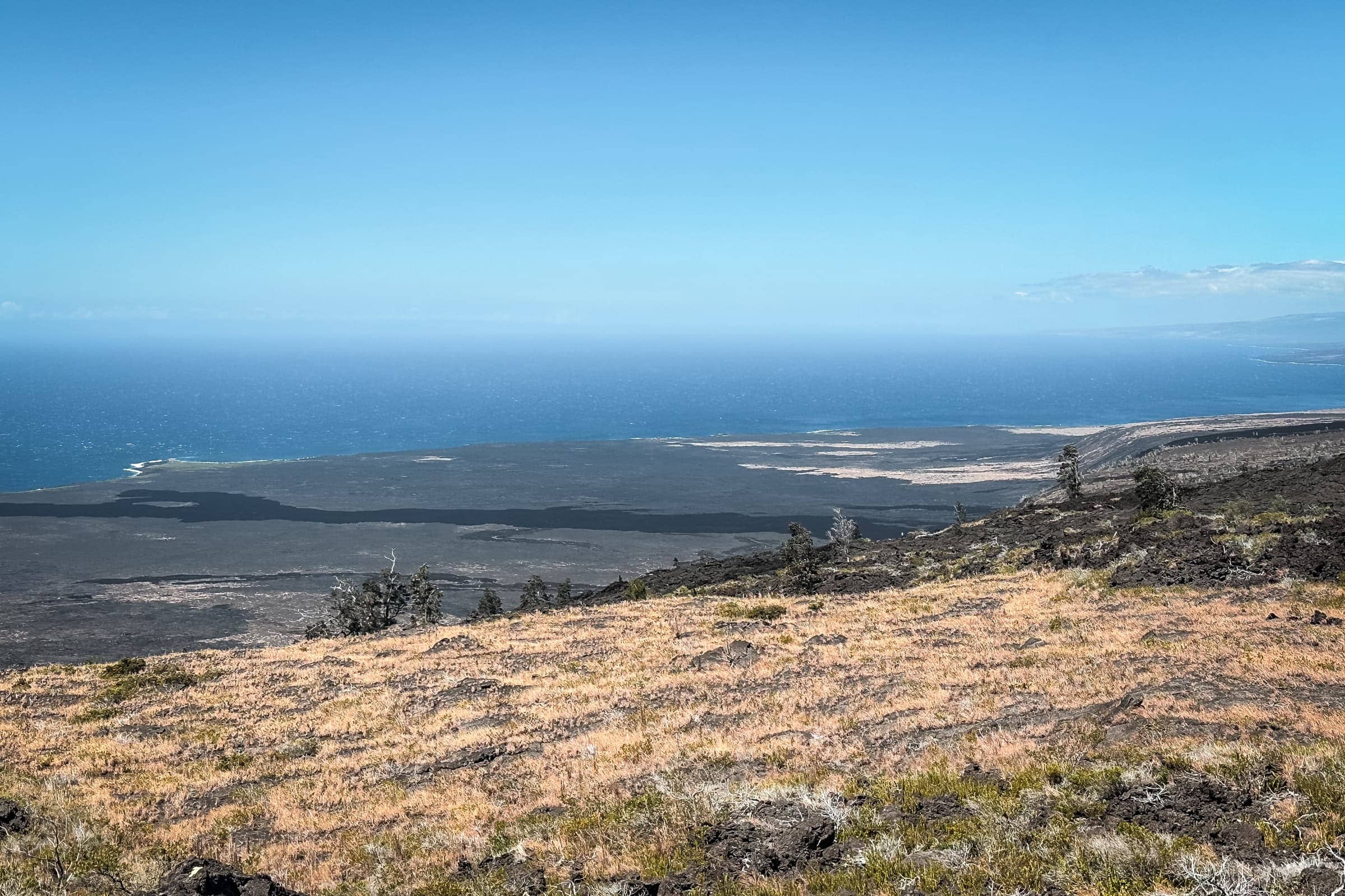 Blick über die Lavafelder zur Küste