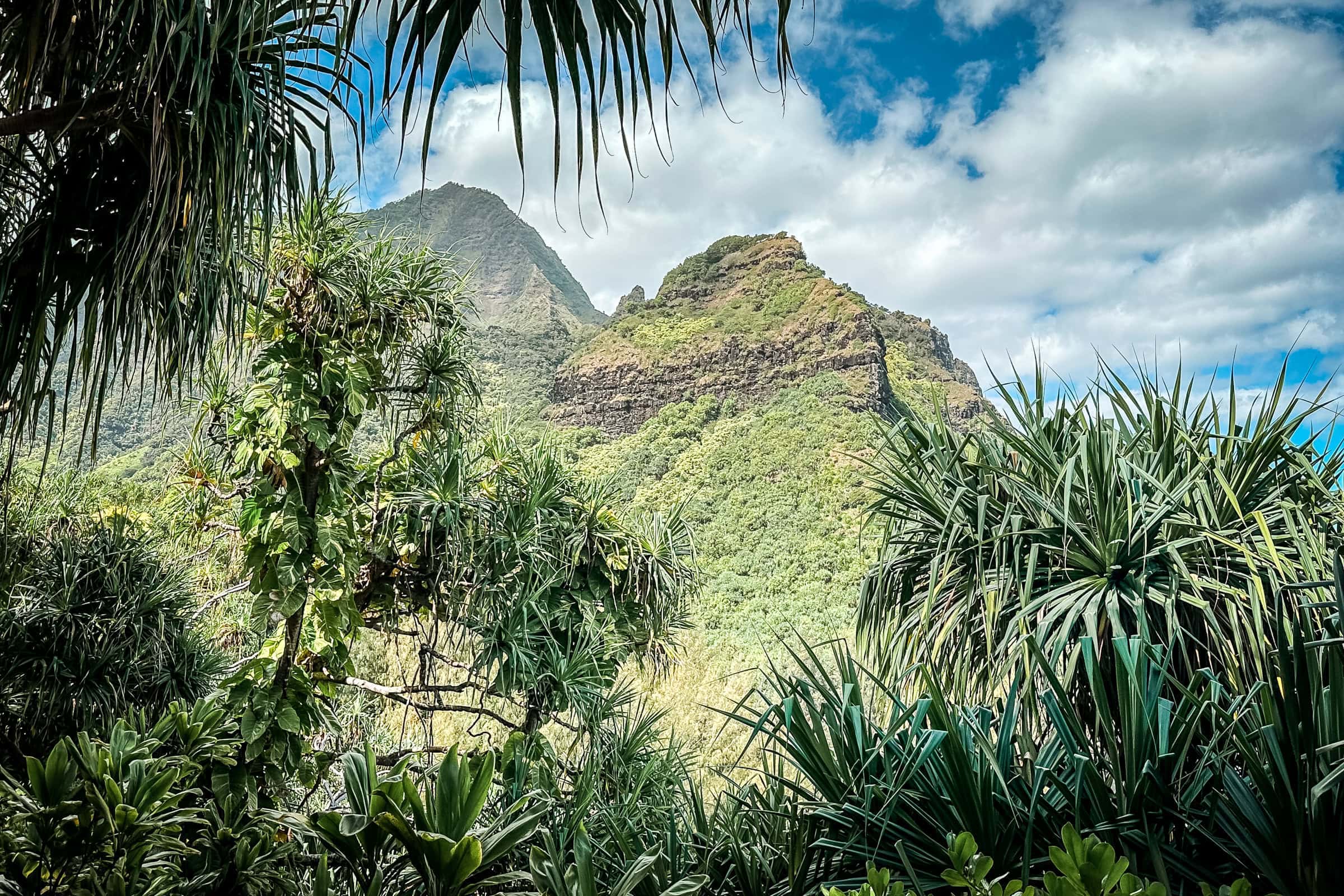 Wanderung an der Na Pali Coast zu den Hanakapiai Falls