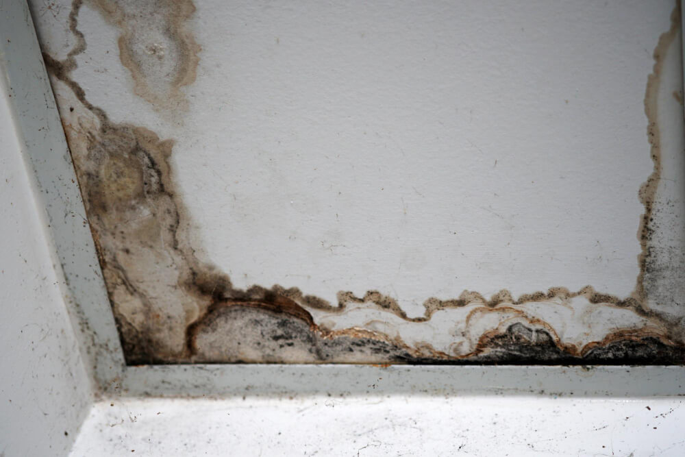  Water Damaged To The Gypsum Board Ceiling