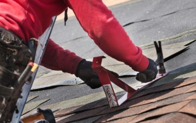 Common Signs You Need a Roof Repair