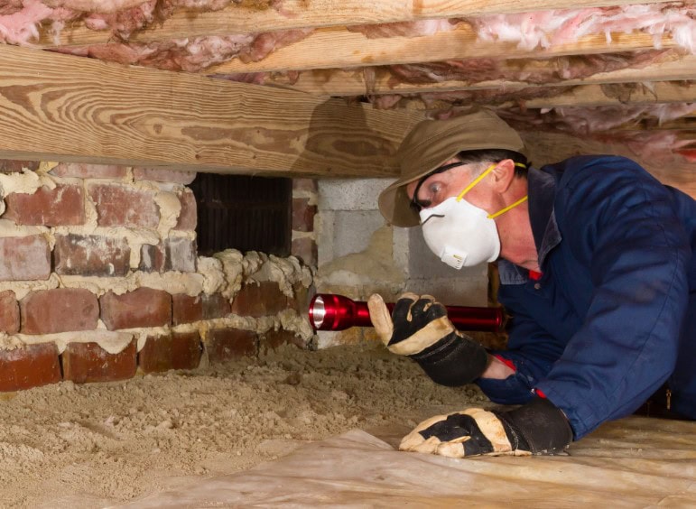 5 Steps to Effective Crawl Space Mold Remediation