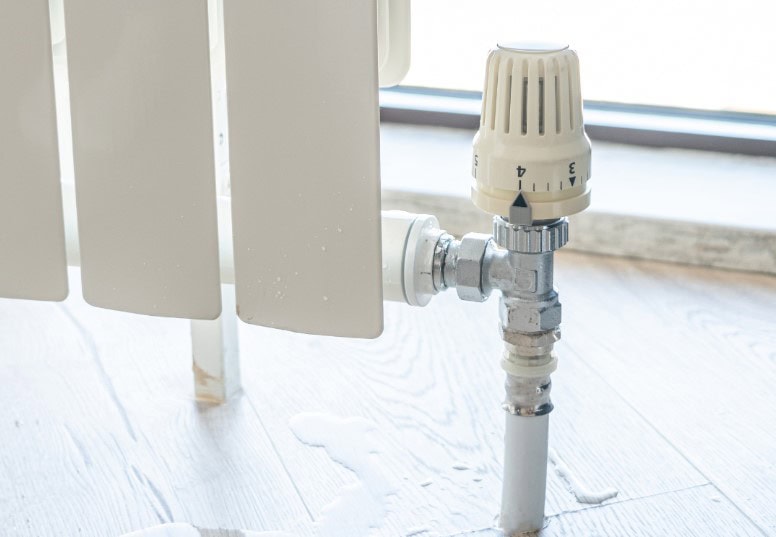 Steps in the Water Mitigation Process