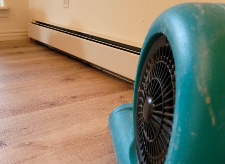 The Role of Water Mitigation in the Restoration Process
