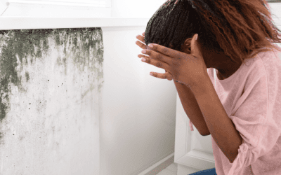 Identifying Mold in Your Home and Next Steps