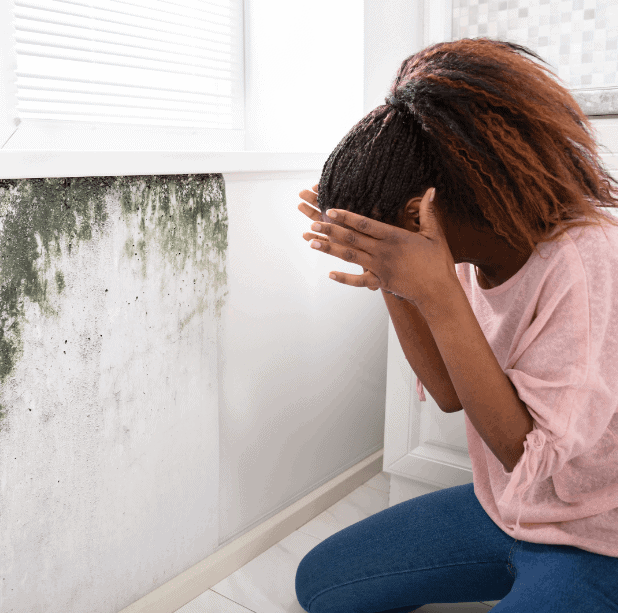 Identifying Mold in Your Home and Next Steps