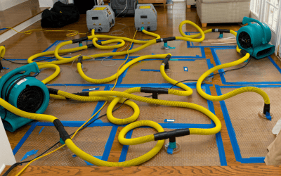 Preventing Mold and Water Damage From Poor Roof Drainage