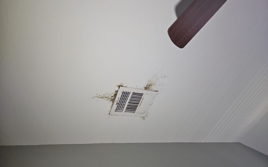 Case Study #2: Mold Remediation and HVAC Correction in Melissa, TX