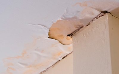 Signs of Hidden Water Damage Anna, TX Homeowners Should Watch For