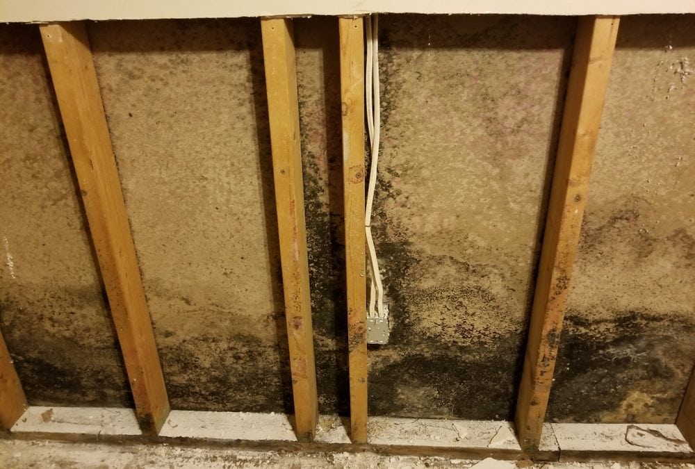 How Water Damage Alters Building Materials Long Before Stains Appear