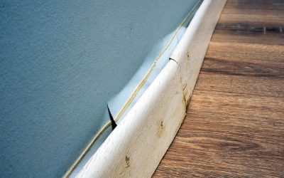 Why Water Damage Restoration Is Critical for Homes in Anna, TX