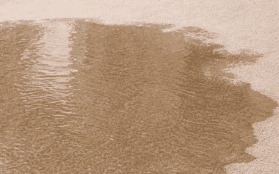 Can Water Damage Be Repaired in McKinney, TX?