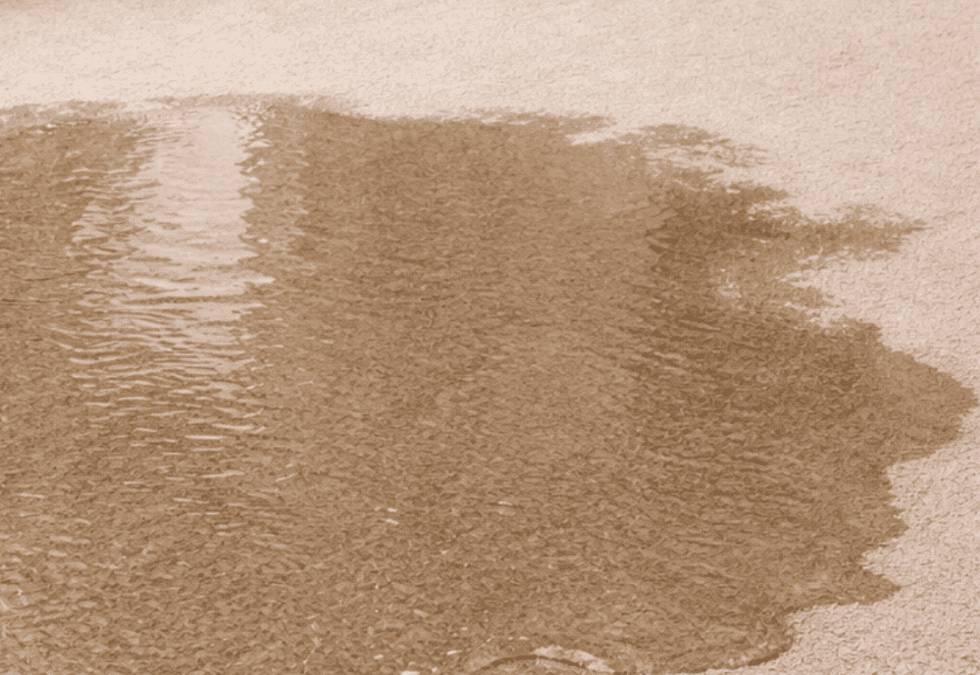 Can Water Damage Be Repaired in McKinney, TX?
