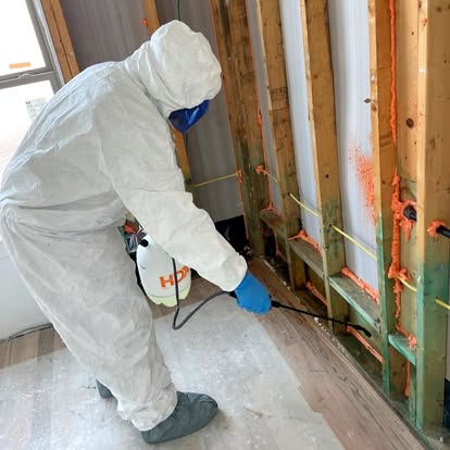 mold removal