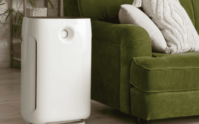 Mold Removal in McKinney, TX: Do Air Purifiers Help With Mold?