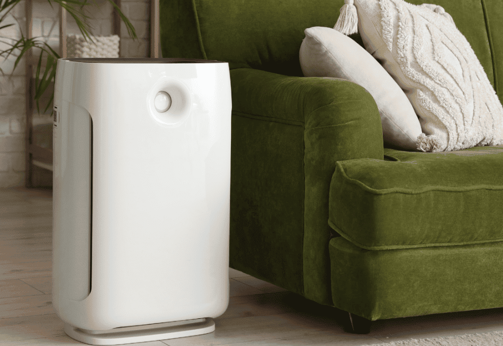 Mold Removal in McKinney, TX: Do Air Purifiers Help With Mold?