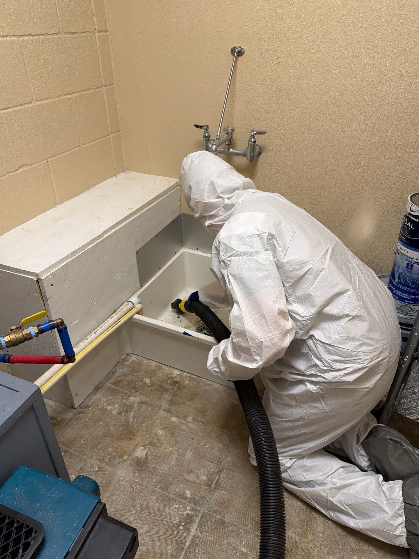 mold removal2
