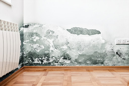 The Mold Remediation Checklist Every McKinney, TX Property Owner Should Run Before It Spreads