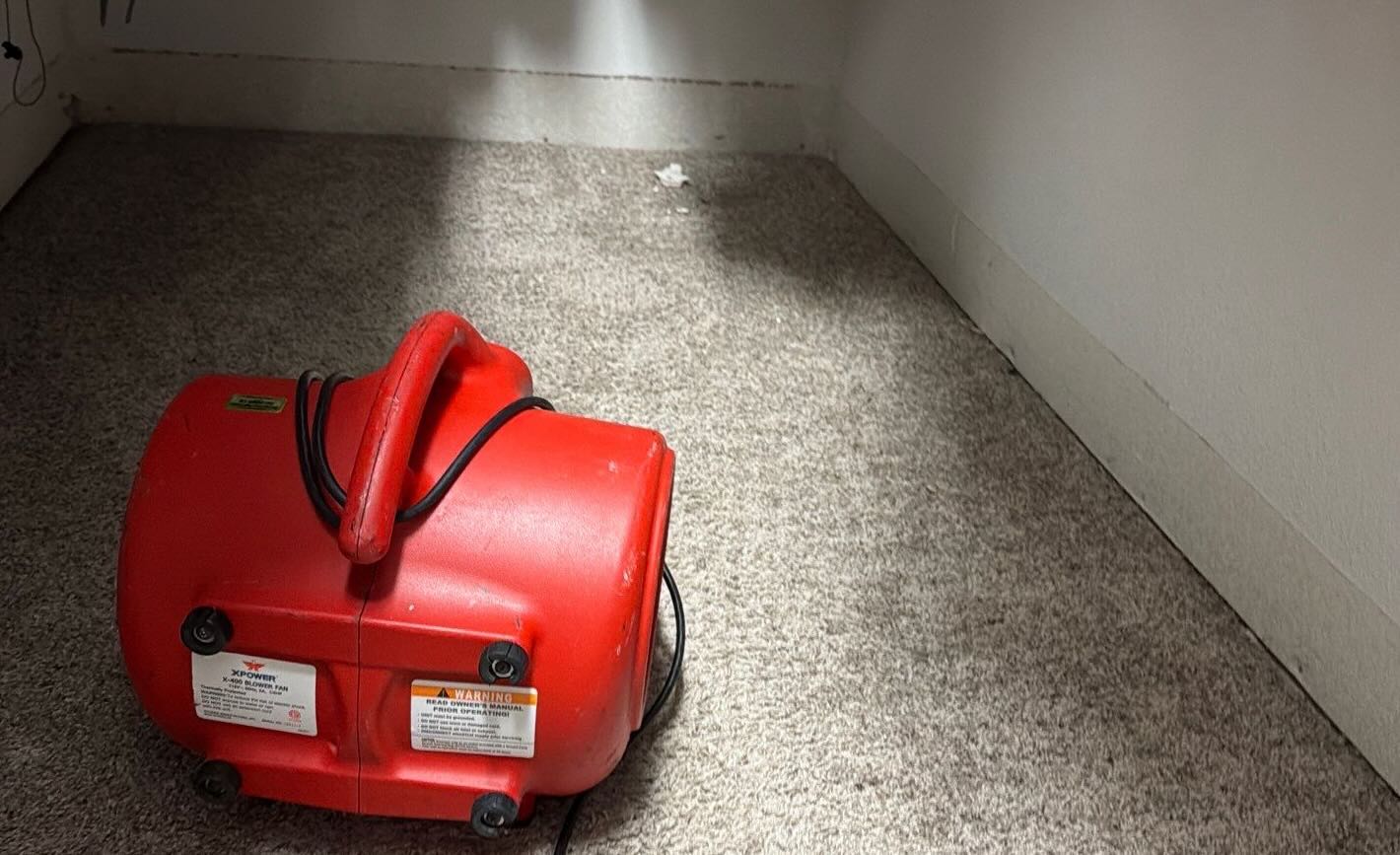 Wet Carpet completed repair placeholder