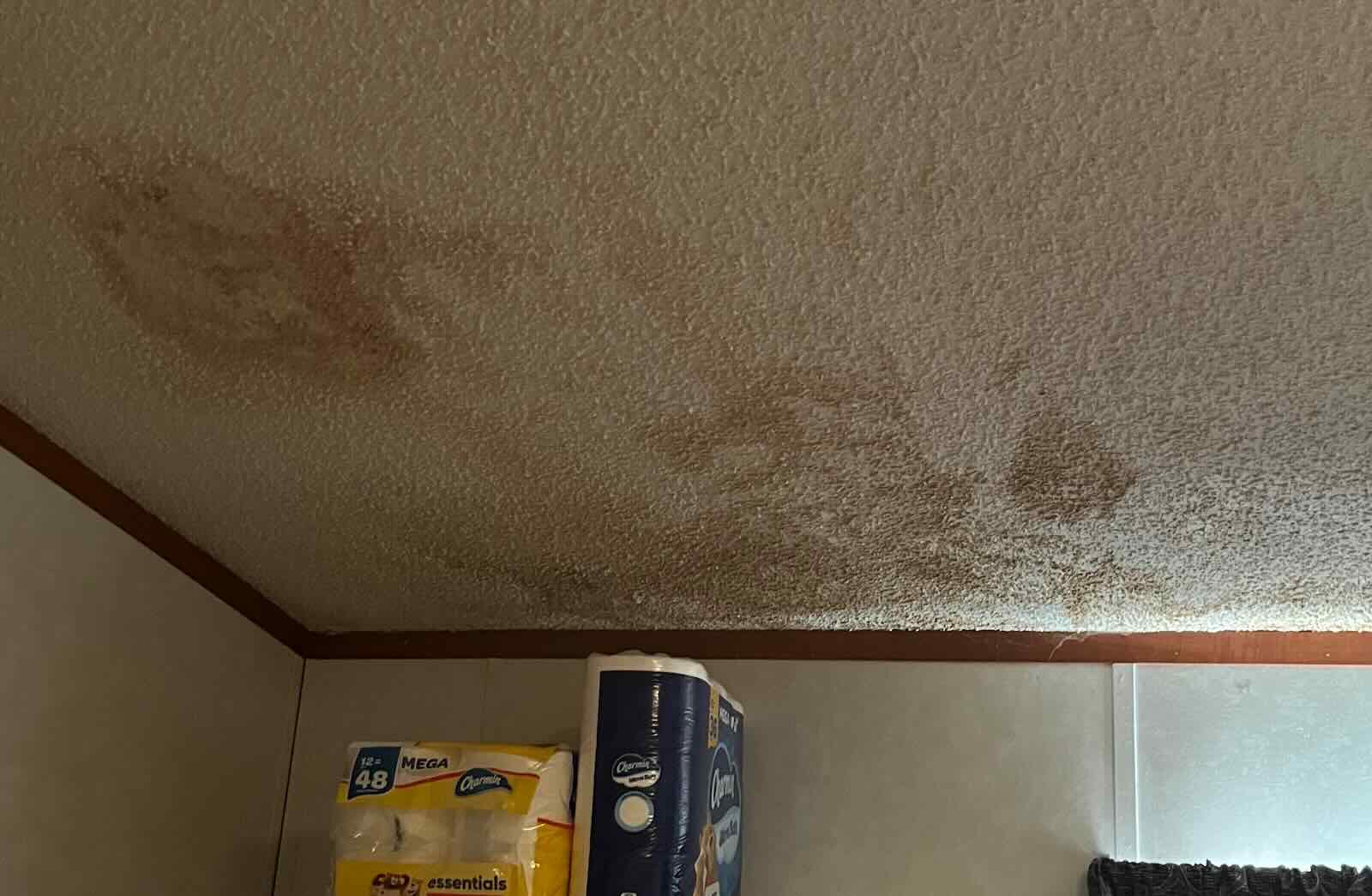 Brown water stains spreading across a textured ceiling above a pantry