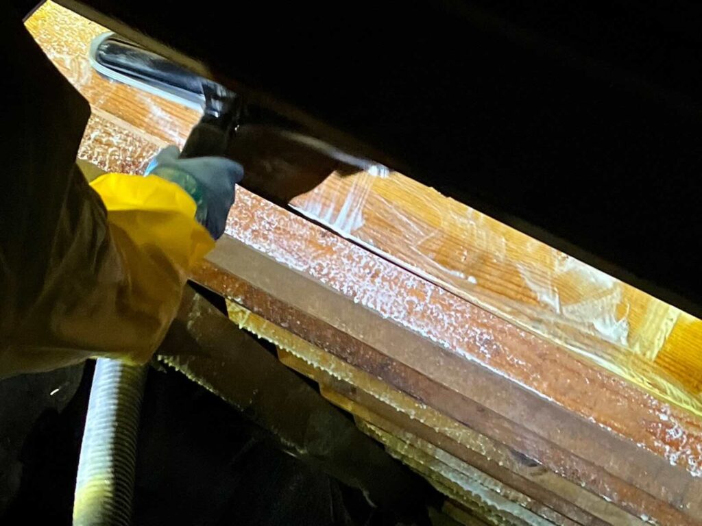 Moisture staining on crawl space floor framing