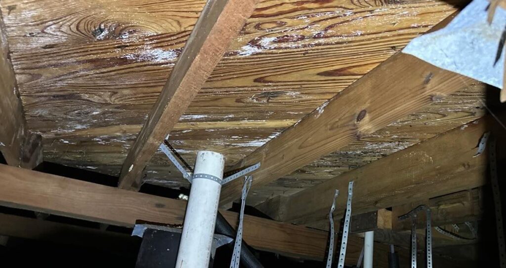 Moisture staining on crawl space wood framing in a North Texas home