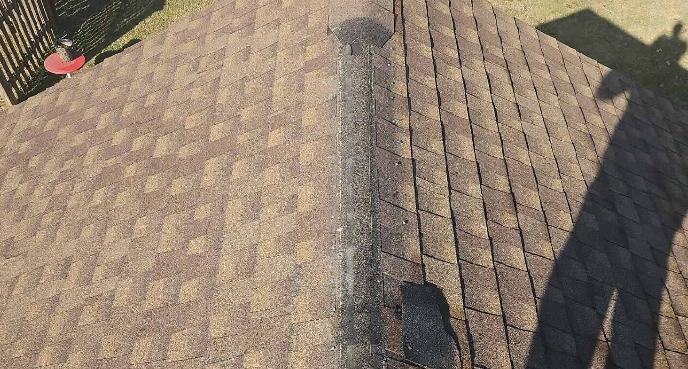 Missing Shingles investigation placeholder