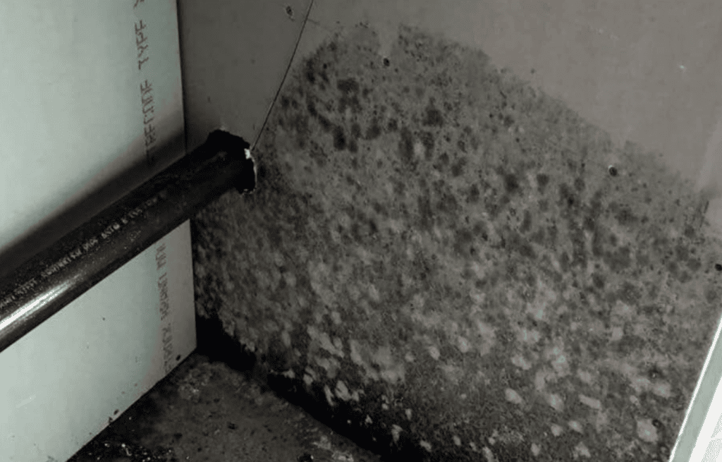 Mold growth on drywall in a North Texas home