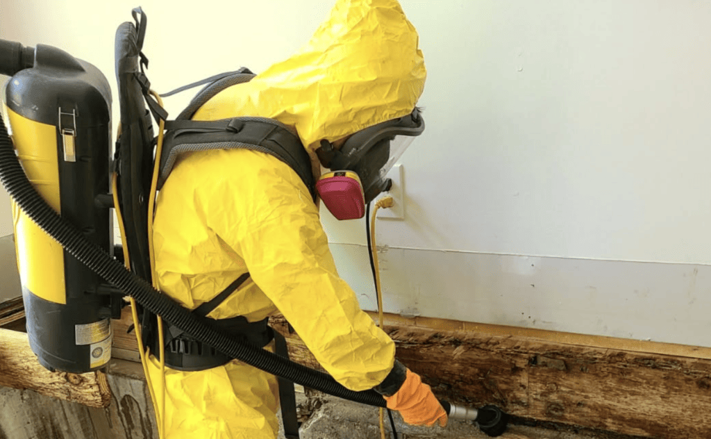 Mold remediation technician cleaning a damaged wall in North Texas