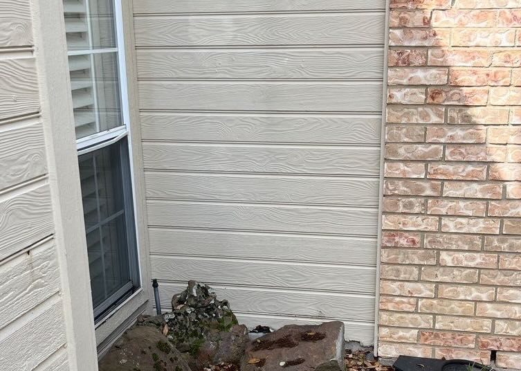Recurring Wall Leak investigation placeholder